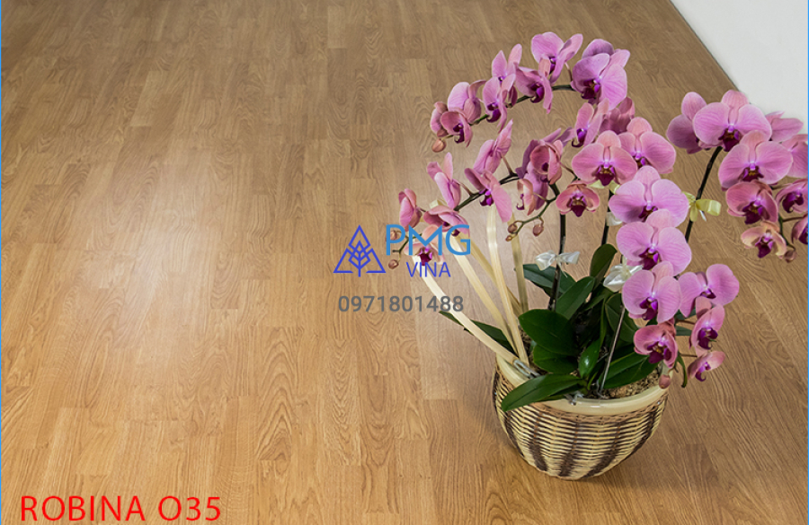 Robina O35 8mm bản lớn