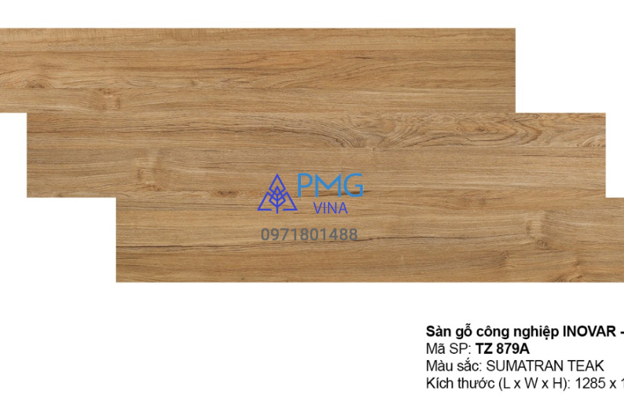 Sàn gỗ công nghiệp Inovar TZ 879A